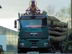 MAN-TGA-26480-Langholztransporter-gruen[1]